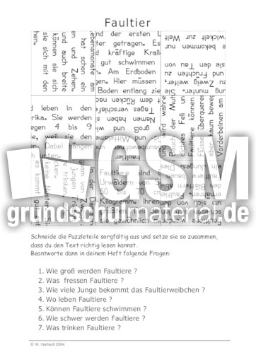 Faultier.pdf